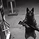 avatar I_LOST_MY_OGUpckd