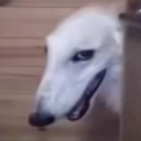 avatar microplastics boy