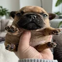 goobernut.