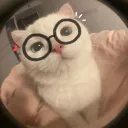 atheabit avatar