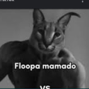 npcrandom114