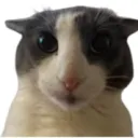 circlengd