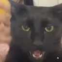 Velja's Avatar