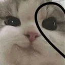 chashu2 avatar