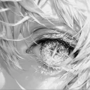 .slyzer.