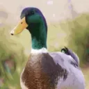 tpotfan2763