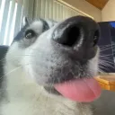 eatingurtoes avatar