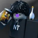 netheo.