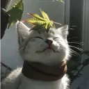 jlvprv