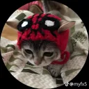 michi_kun avatar