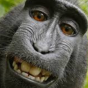 avatar man of the jungle