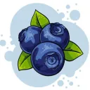 blueberries_._._