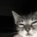 dxstinygng