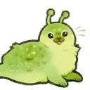 grodeey