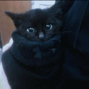 avatar moony ‹𝟹