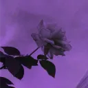 lunarmoon334