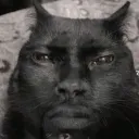 mrfuttrup