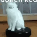 metonoktaexe
