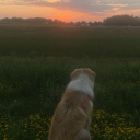 avatar ☆ gator ☆