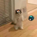 jjames_gf