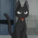 lutrixcomsono