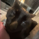 Profilbild för jagalskarxqs