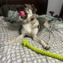 avatar dontcallmemandy