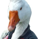 goose.plus