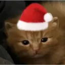 Аватар demen3411