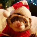 avatar 𐔌՞. 𝓐𝓷𝓽𝓱 .՞𐦯