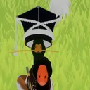abrowhoisapie