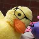notactuallyterry