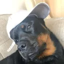 lqjz
