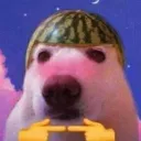 utusyuanshini avatar