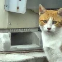 rorololo_