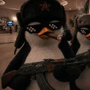 onax_21
