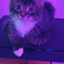 not_a_username. avatar