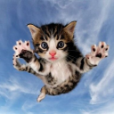 avatar Скачать утро