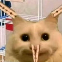 avatar ! 👾ZOE👾