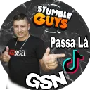 gelsinhoofc