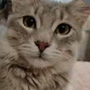 michisu8837 avatar