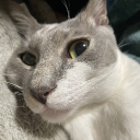 akirakiyama31883's Avatar