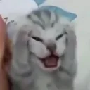ffloveryt