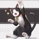 suzurancat