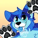 terrythehusky1