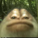 stubbyfunnymonke