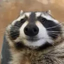 aayushgamer5011 avatar