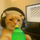 avatar The Boeing Carlos