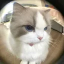 oldogbabushka