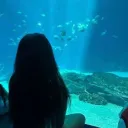 44yidhra